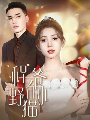 《程爷的小野猫》：霸道程爷与叛逆少女的另类爱情，谁说年龄不是问题？