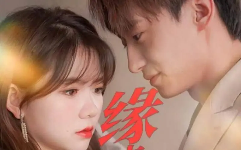 《缘来是你》：一场命中注定的爱情喜剧？笑泪齐飞，解析爱情真谛！