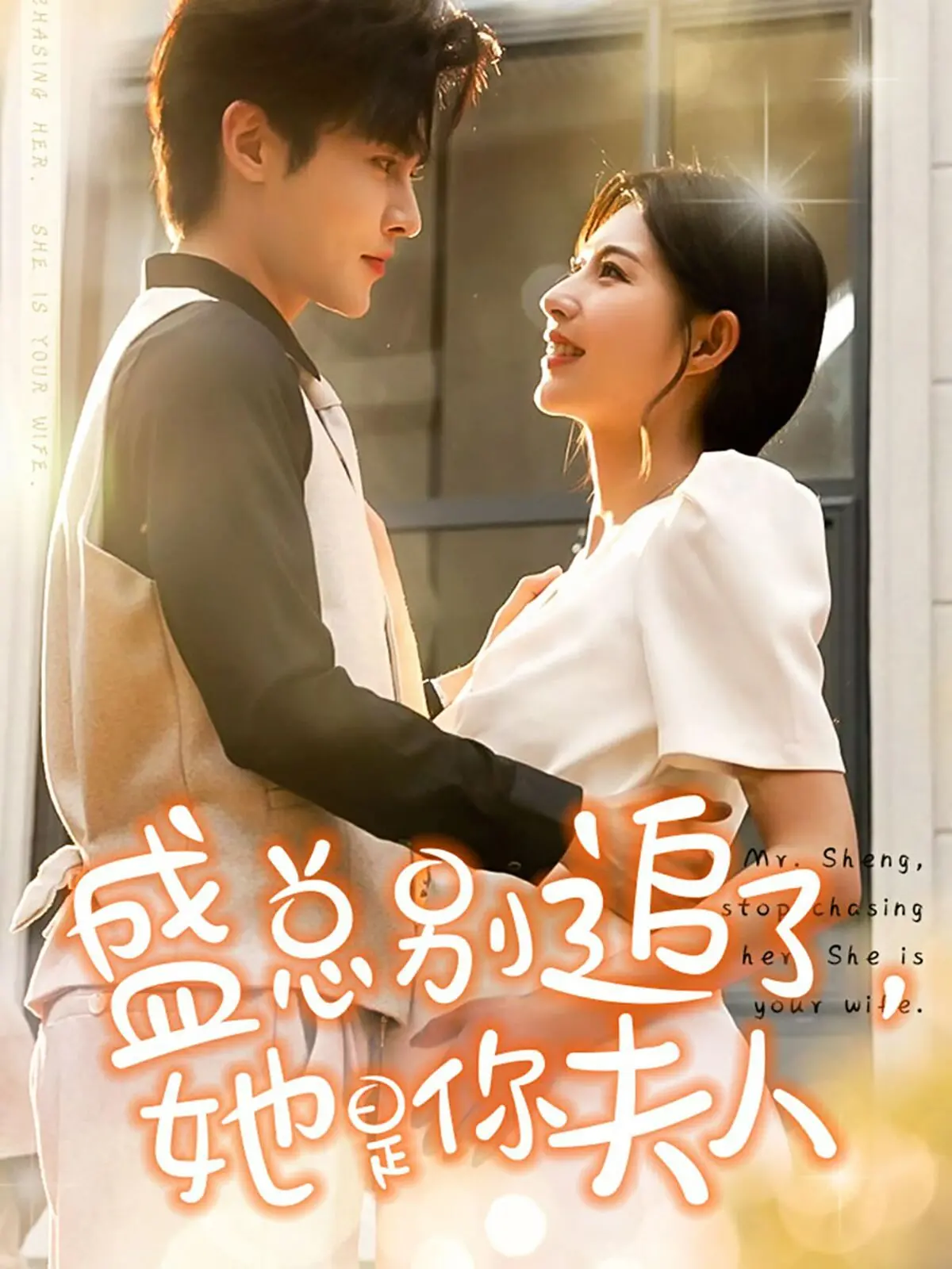 《盛总别追了，她是你夫人》：霸总的追妻火葬场，甜虐交织，硝烟弥漫的爱情战役